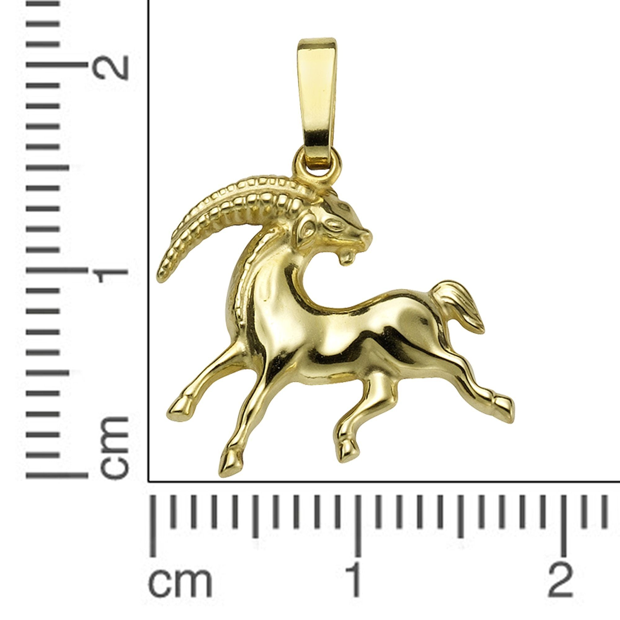 Anhänger Sternzeichen Steinbock 585/- Gelbgold glanz