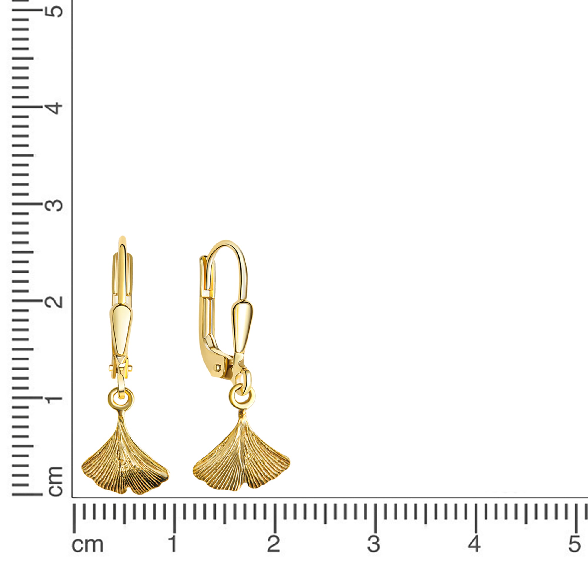 Ohrhänger 333/- Gelbgold