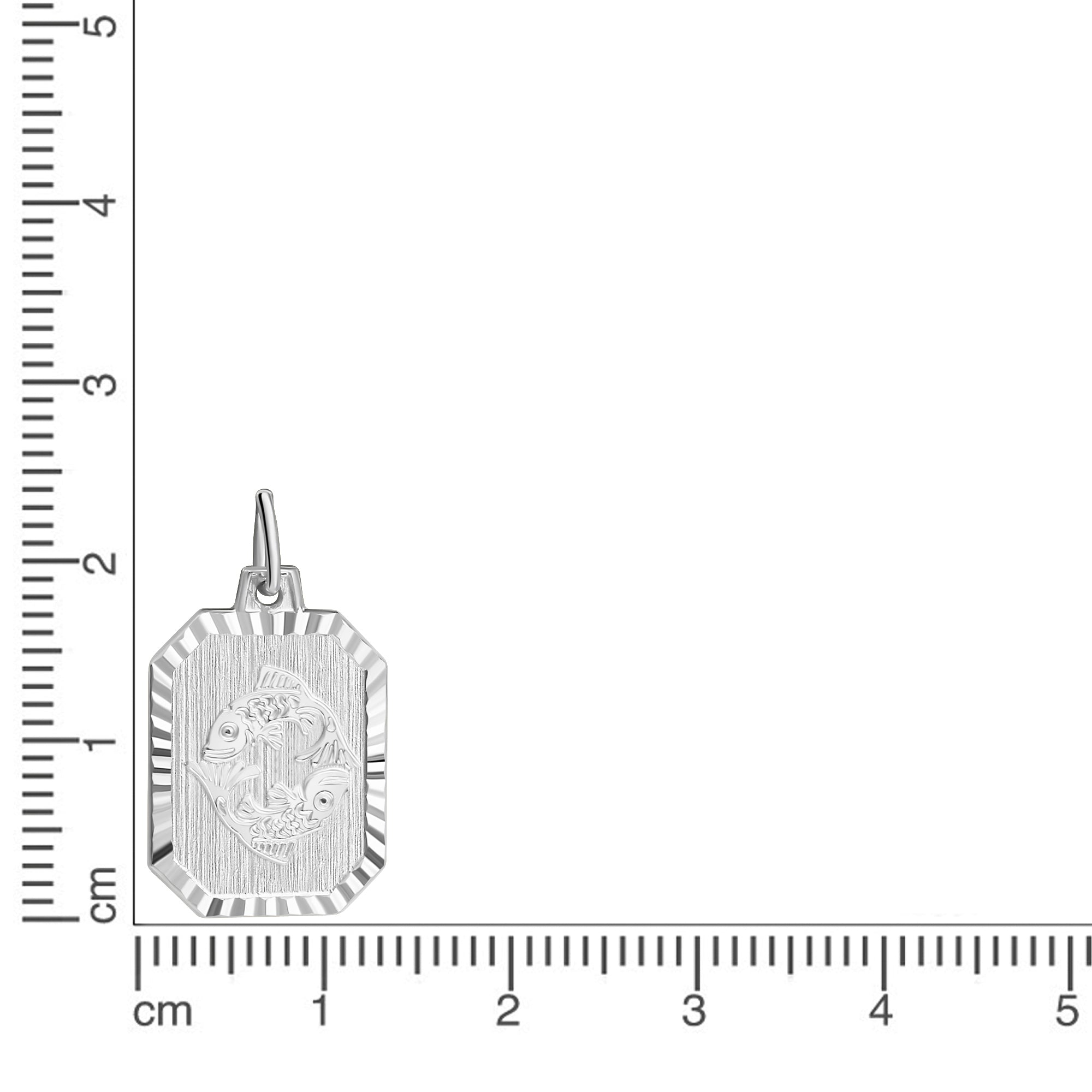 Anhänger Sternzeichen Fische 925/- Sterling Silber rhodiniert