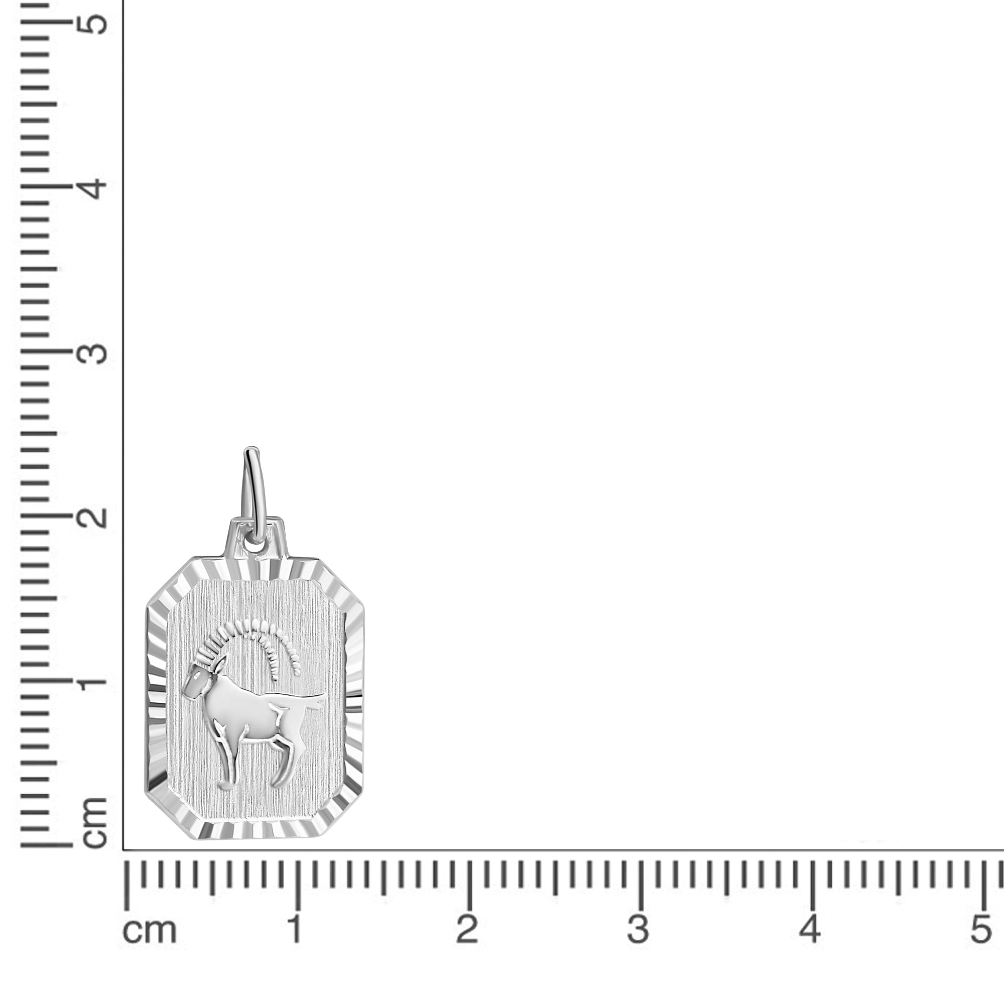 Anhänger Sternzeichen Steinbock 925-Sterling Silber rhodiniert