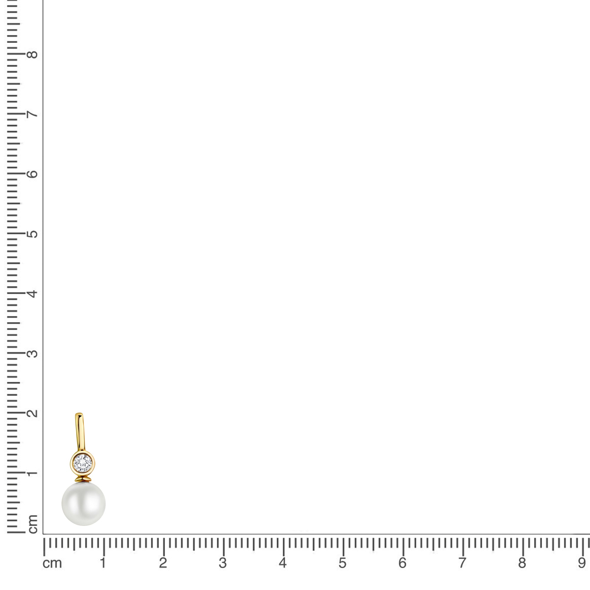 Anhänger 333 Gelbgold glanz  SWZP und Zirkonia