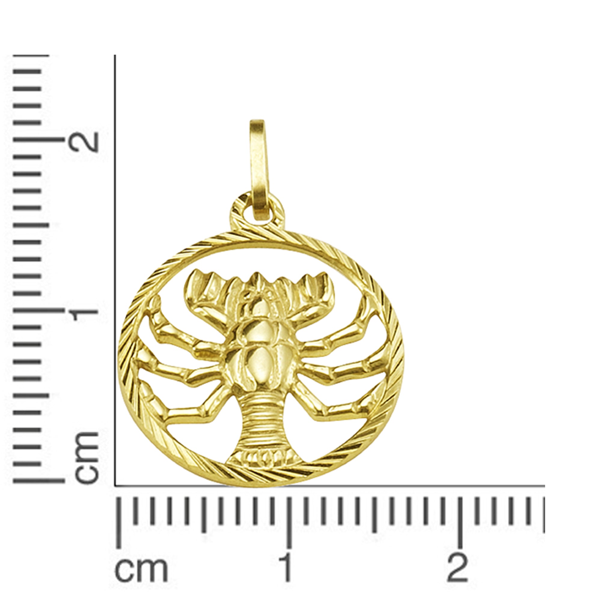 Anhänger 333/- Gelbgold Sternzeichen Krebs