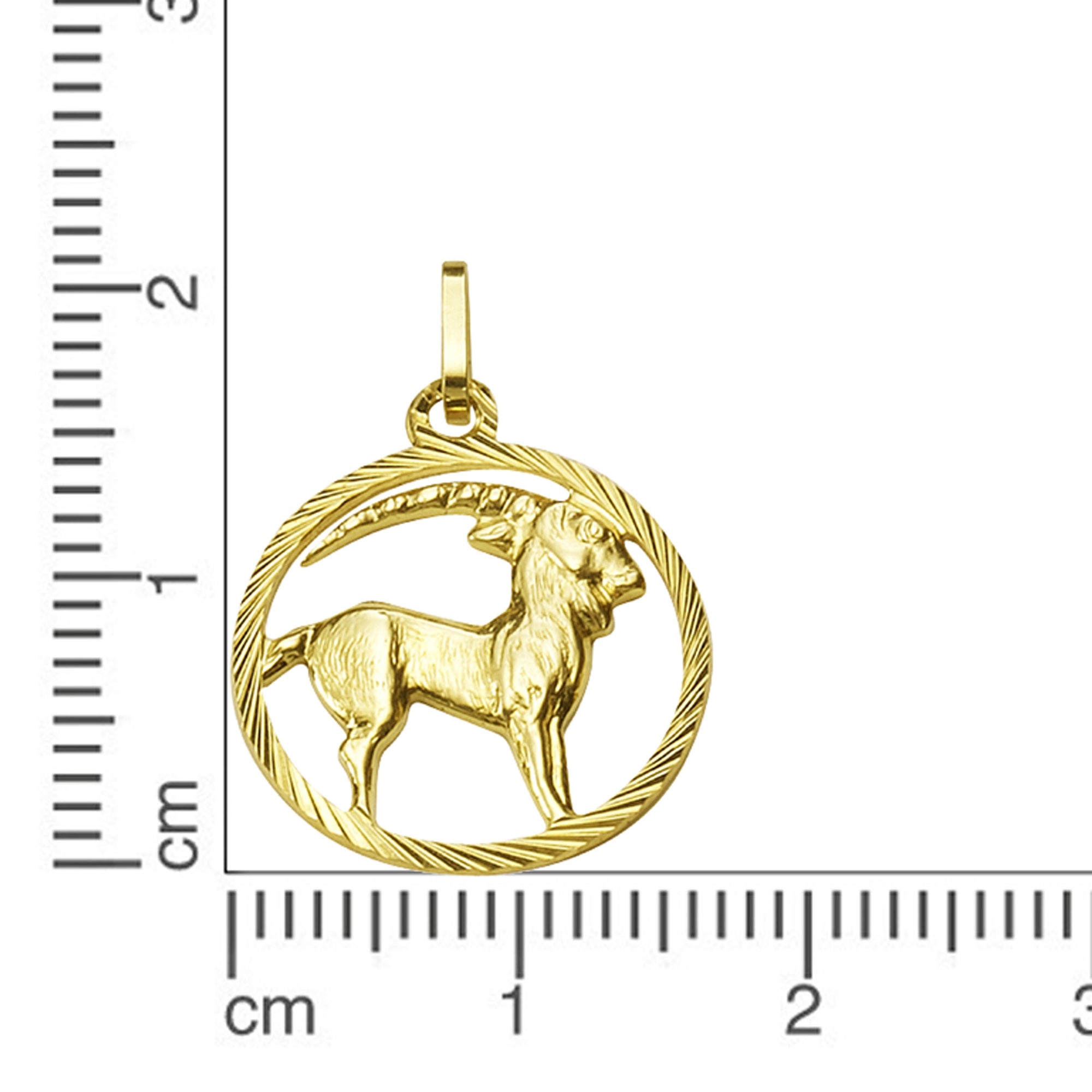 Anhänger 333/- Gelbgold Sternzeichen Steinbock