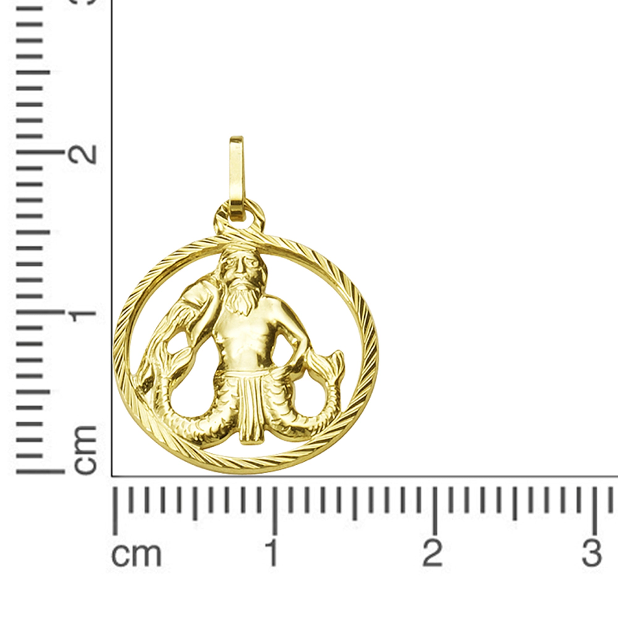 Anhänger 333/- Gelbgold Sternzeichen Wassermann